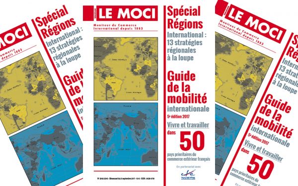 Nouvelle parution : Guide de la mobilité internationale, 5e édition 2017 (LE MOCI)