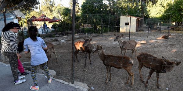 Tunisie : Le zoo du Bélvédère accueille de nouveaux animaux
