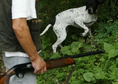 Contrarié par la présence du chien de son voisin, il le tue avec une carabine