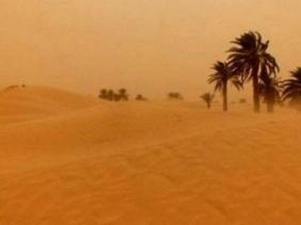 BMS : Activité pluvio-orageuse sur le Sahara central et les Oasis à partir de jeudi soir