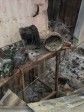 Haïti - FLASH : Des chrétiens incendient un temple vaudou