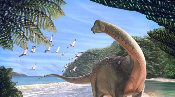 Pourquoi la découverte du dinosaure Mansourasaurus fait figure de «Saint Graal» pour les paléontologues