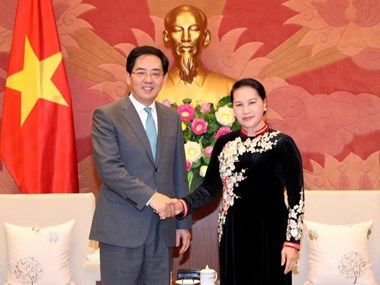 La présidente de l'AN reçoit l'ambassadeur chinois Hong Xiaoyong