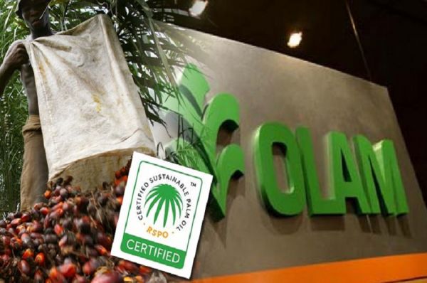 Gabon : Olam ne va pas acheter la SEEG