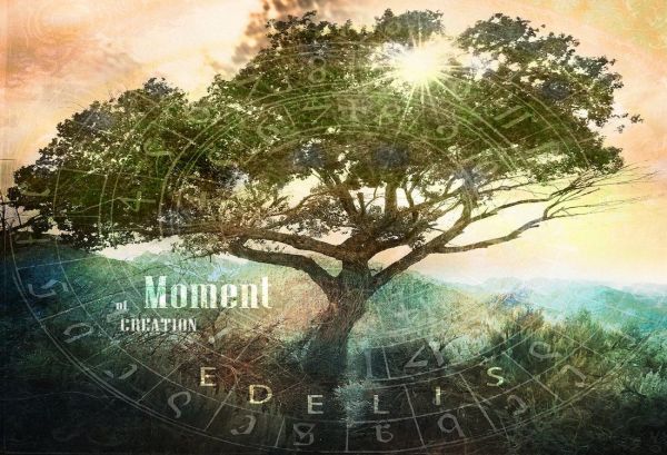 L'astrologie des druides Celtes: Ce que l'arbre de votre signe astrologique révèle sur vous