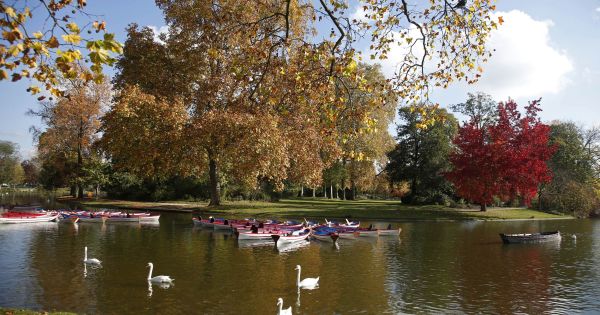 Les Parisiens ne pourront pas se baigner dans le lac Daumesnil pour le moment, faute d'argent