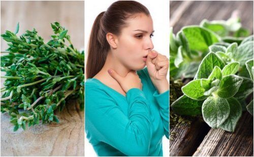 Comment soulager la toux grasse en utilisant 5 plantes médicinales