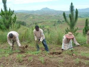 Coopération internationale - A Madagascar, la Nouvelle-Aquitaine rend la vie des paysans moins rude