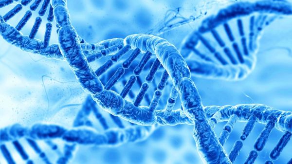 Dubaï Genomics : le projet fou du séquençage génétique de toute une population