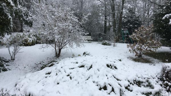 Météo : la neige est arrivée en Ile-de-France, le pic de froid attendu lundi