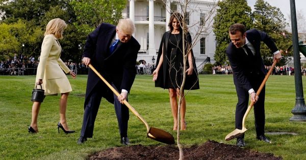 La photo de Trump et Macron qui plantent un chêne à la Maison Blanche vaut le détour(nement)