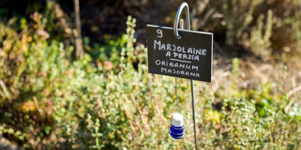 Domaine Sorbelle (Corse) : coup de coeur Rendez-vous aux jardins 2018