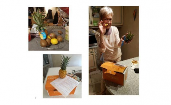 Des ananas Victoria dans les boîtes aux lettres métropolitaines
