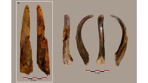 Découverte exceptionnelle d’outils en bois datés de 90 000 ans en Espagne