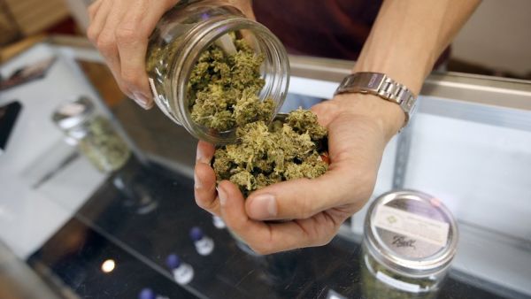 Les buralistes "prêts à vendre du cannabis" selon leur président