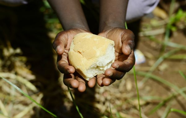 Alimentation: Sous-nutrition et malnutrition
