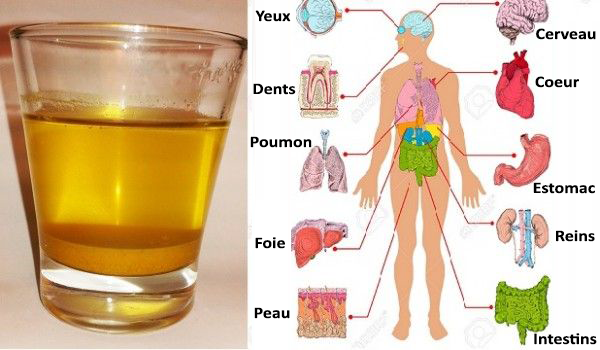 Buvez de l'eau au citron et au miel le matin