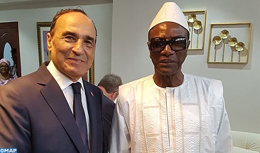 M. Habib El Malki reçu par le président guinéen