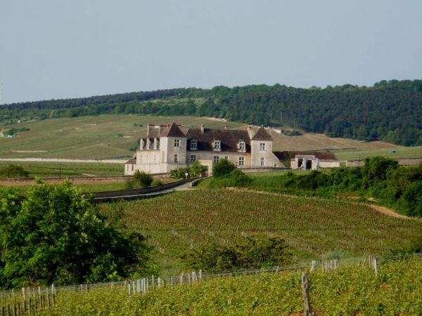 Bourgogne : le domaine Rebourseau repris par Bouygues