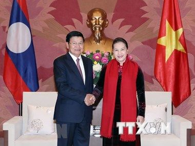 L'Assemblée nationale vietnamienne soutient la coopération gouvernementale Vietnam-Laos