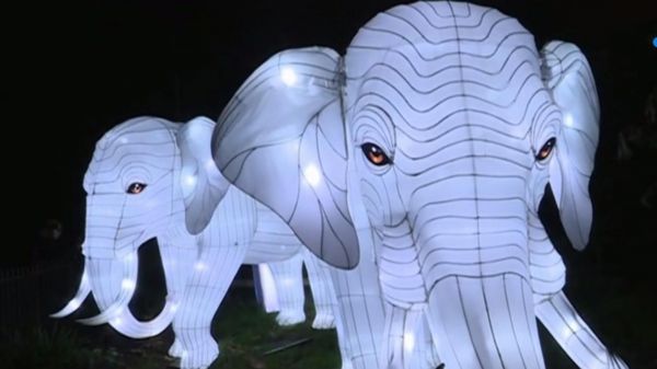 Paris : des animaux en voie d'illumination