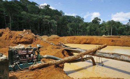 Guyane : La justice autorise l’exploitation d’or près d’un captage d’eau