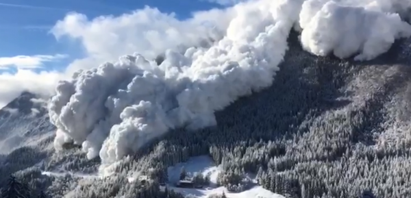 Une énorme avalanche filmée en Suisse engloutit la forêt