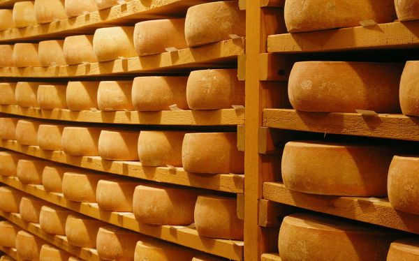 Science décalée : la musique change-t-elle le goût du fromage ?