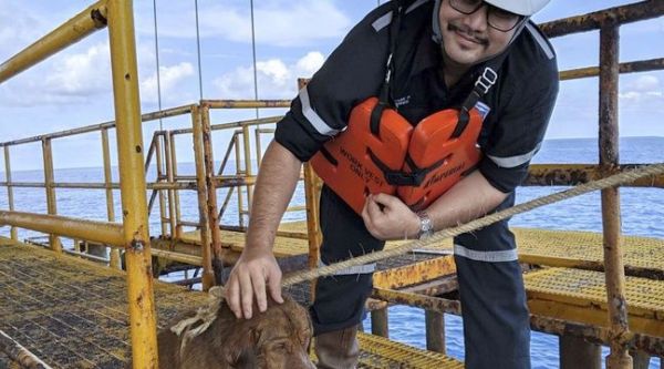 Thaïlande: Un chien secouru en pleine mer à 220 km des côtes
