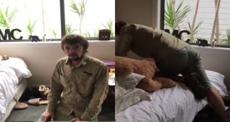 Ils trouvent un python dans la chambre de leur fils (Australie)