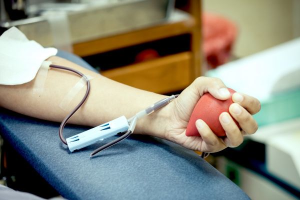 Don du sang, un appel d'urgence pour sauver des vies