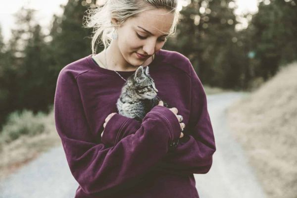 Adopter un chaton ou chat adulte abandonné - comment choisir ?