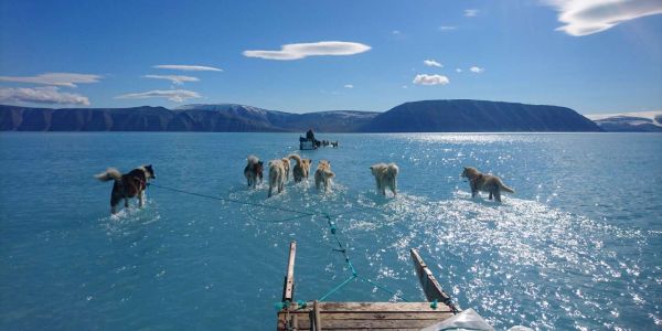 La photographie d'un scientifique danois révèle la fonte des glaces précoce au Groenland
