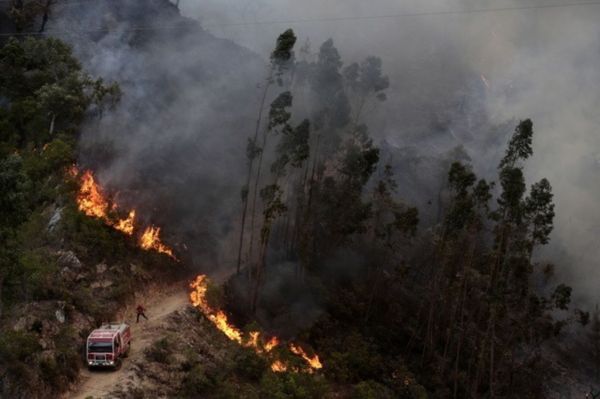 Des feux de forêt font rage au Portugal