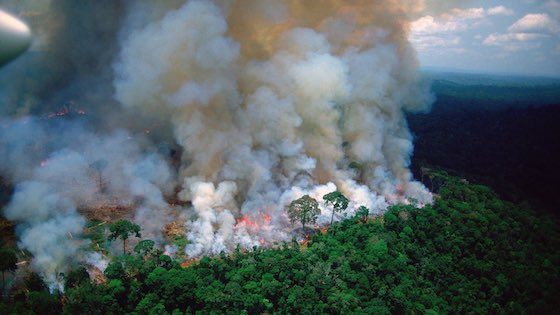 #PrayForAmazonia : La forêt amazonienne en proie à de violents incendies depuis 16 jours (VIDEO)