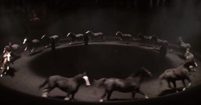 Un poney meurt après une lourde chute lors d'un spectacle