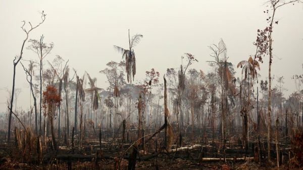 Incendies en Amazonie : des centaines de nouveaux départs de feu entre jeudi et vendredi