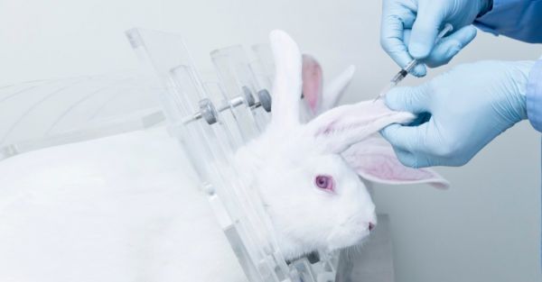 Une décision qui fera date : l'EPA annonce l'arrêt de ses tests sur les mammifères