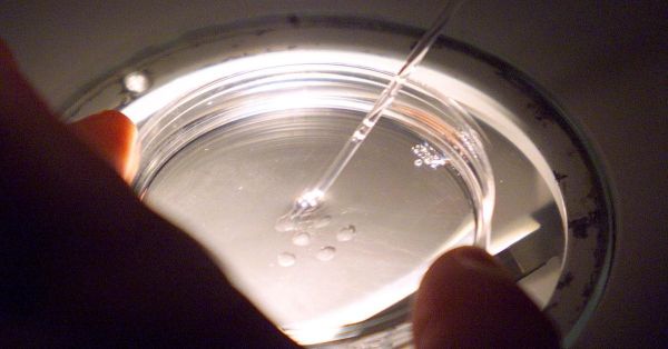 Avant la loi bioéthique, un gynécologue de Bondy congelait déjà des ovocytes