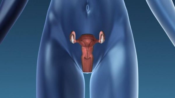 Cancer du col de l'utérus : le test HPV recommandé pour le suivi des lésions