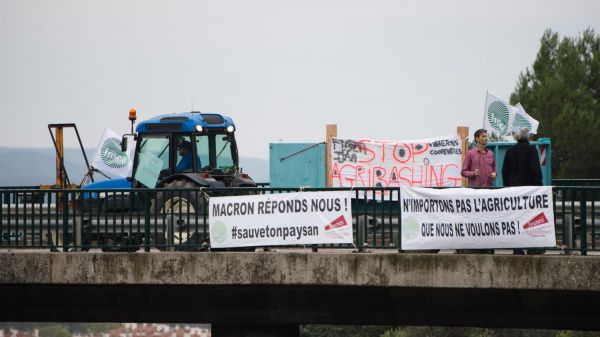 "Ce n'est pas l''agribashing' qui pousse au suicide !" : des agriculteurs regrettent la mobilisation lancée par la FNSEA