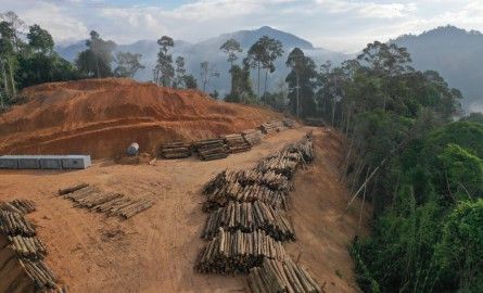 Au Brésil, un appel à protéger les terres indigènes après le meurtre d’un Gardien de l'Amazonie