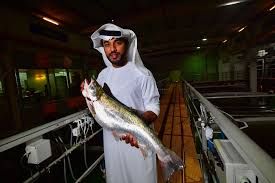 En plein désert, Dubaï se lance dans la production de saumon