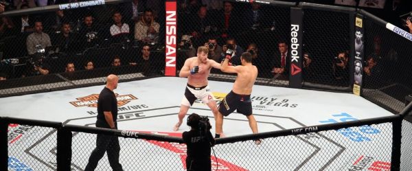 Sports de combat : Le MMA sera encadré par la Fédération française de boxe