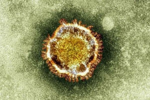 Coronavirus : vigilance après trois cas confirmés en France et un en Australie