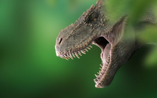 Voici le Tralkasaurus cuyi, un lointain parent du T-Rex découvert en Argentine
