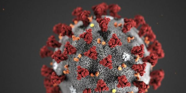 Coronavirus : le bilan dépasse 2.000 morts, l'OMS se veut rassurante