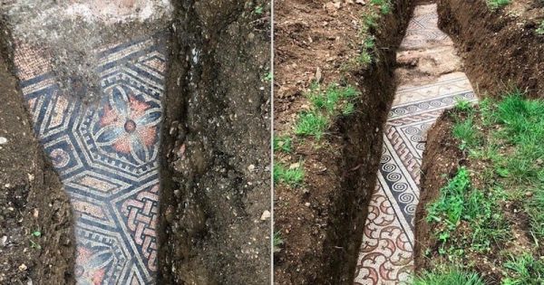 Italie : une splendide mosaïque romaine découverte intacte sous un vignoble, près de Vérone