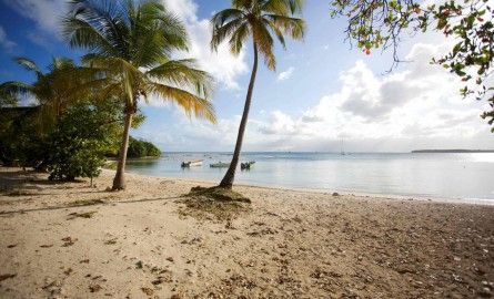Tourisme : En Guadeloupe, union sacrée politique et économique pour la réouverture des îles