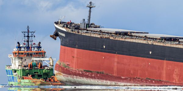 Marée noire à l'île Maurice : "On aurait pu éviter ce drame !"